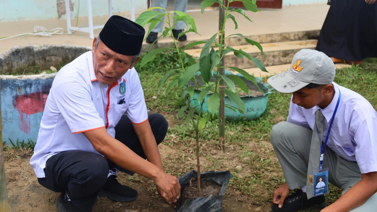 Menanam Pohon